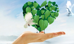 ����(w��)֧��